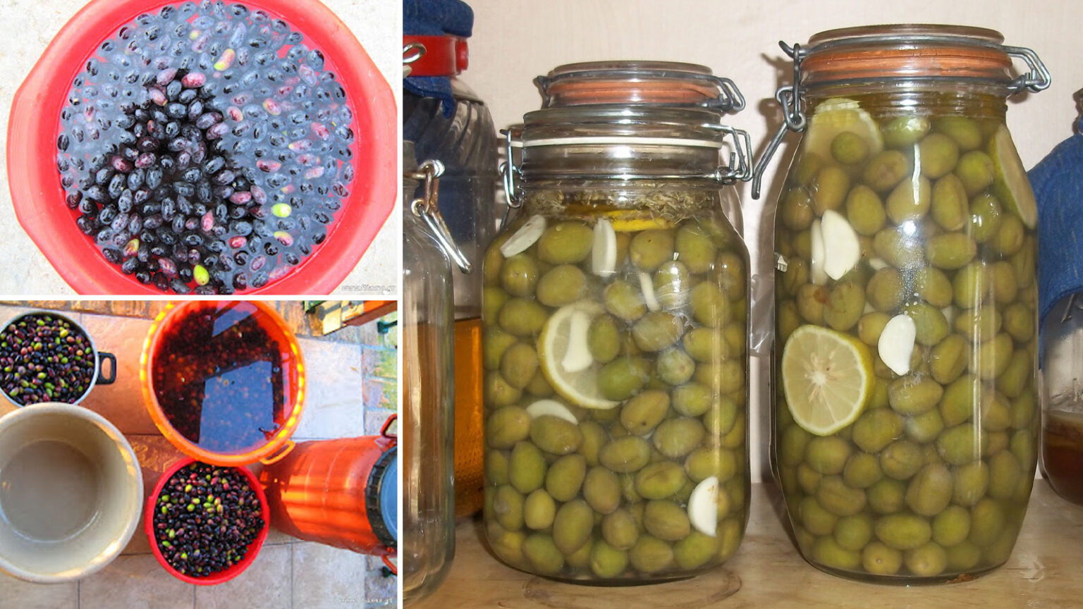 Πώς Φτιάχνω και Συντηρώ Σπιτικές Ελιές. Φτιάξε τις δικές σου Πεντανόστιμες και Γλύτωσε αρκετά Χρήματα