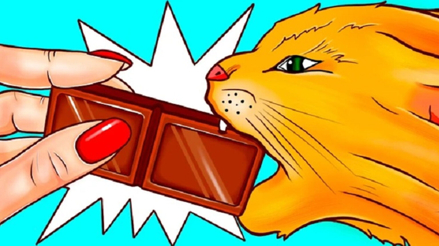 διατροφή γάτας,διατροφή σκύλου,συμβουλές διατροφής κατοικιδίων,χρήσιμα,