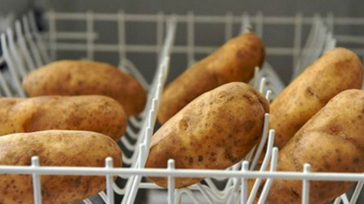 Όλα Όσα Πλένονται στο Πλυντήριο Πιάτων και δεν το Φανταζόσασταν