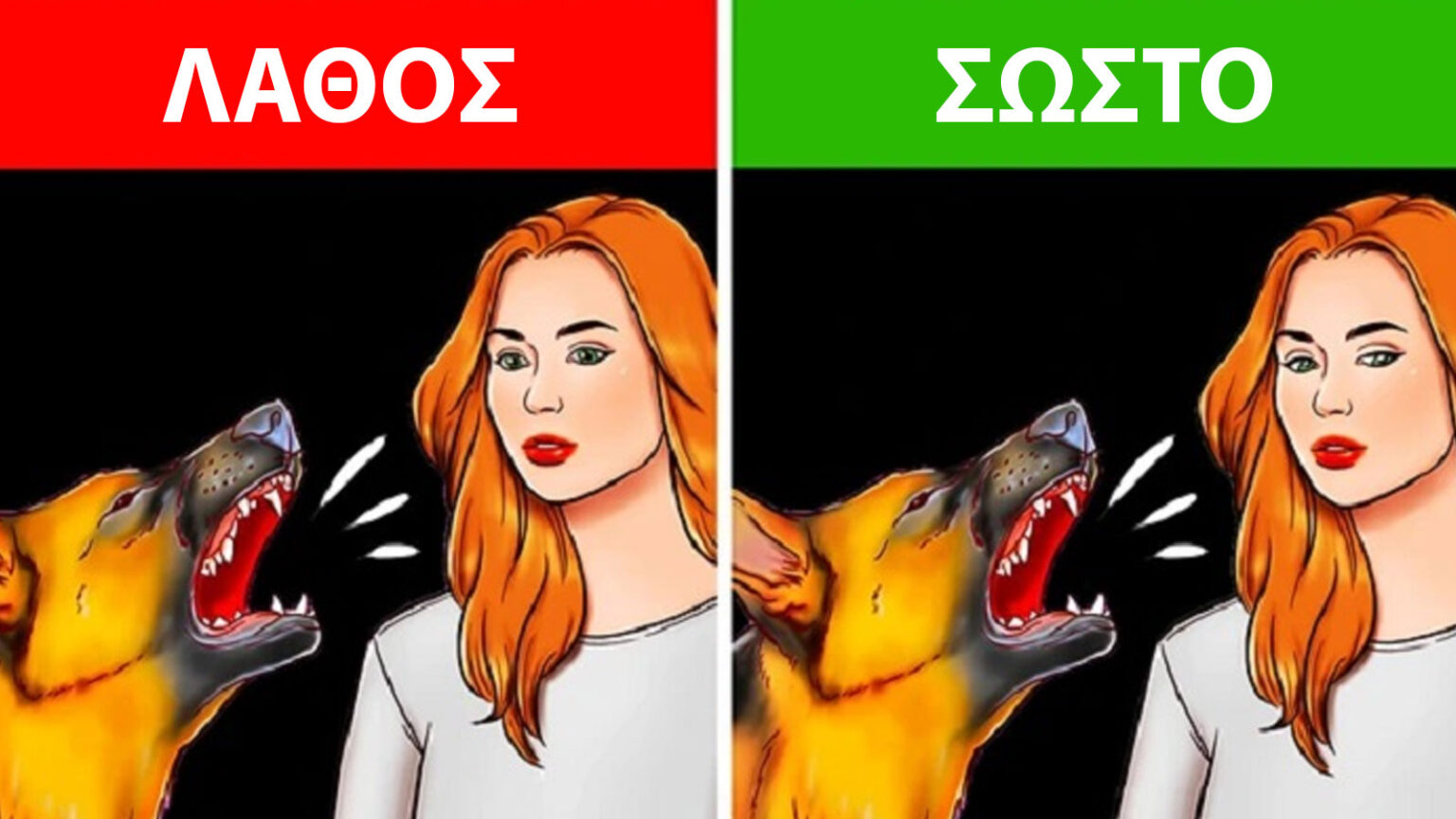 αδέσποτα σκυλιά,προστασία από αδέσποτα σκυλιά,κόλπα για αδέσποτα σκυλιά,συμβουλές για αδέσποτα σκυλιά,χρήσιμα,