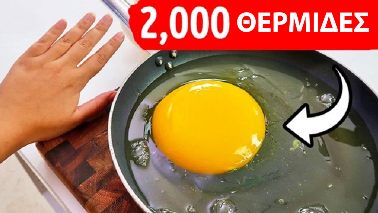 αυγά στρουθοκαμήλου,διατροφή,συμβουλές διατροφής,περίεργα,