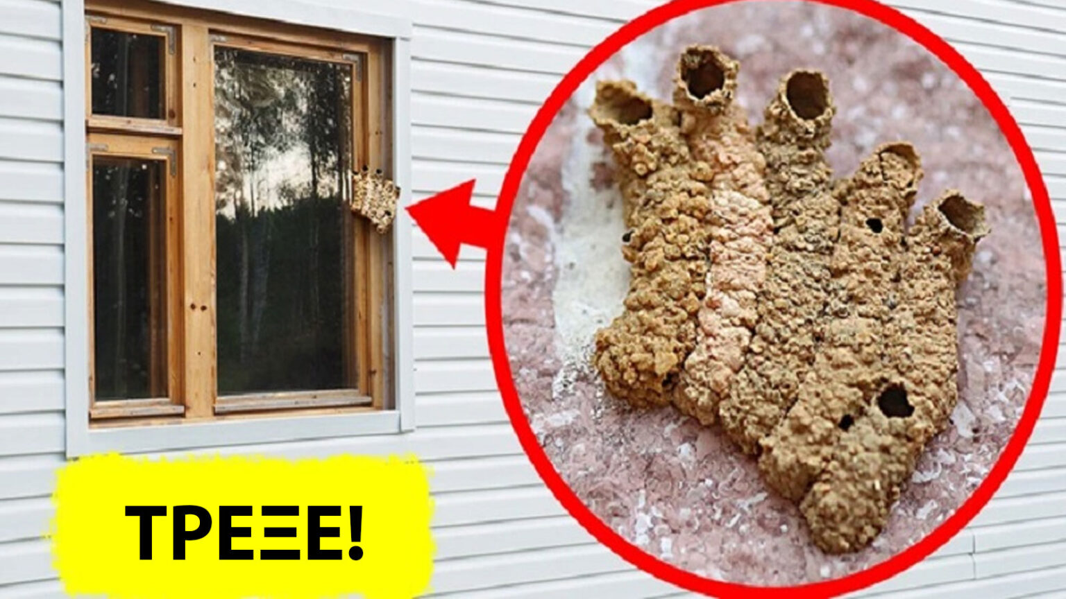 Αυτό Δεν Είναι Λάσπη και Πρέπει να Τρέξετε αν το Δείτε