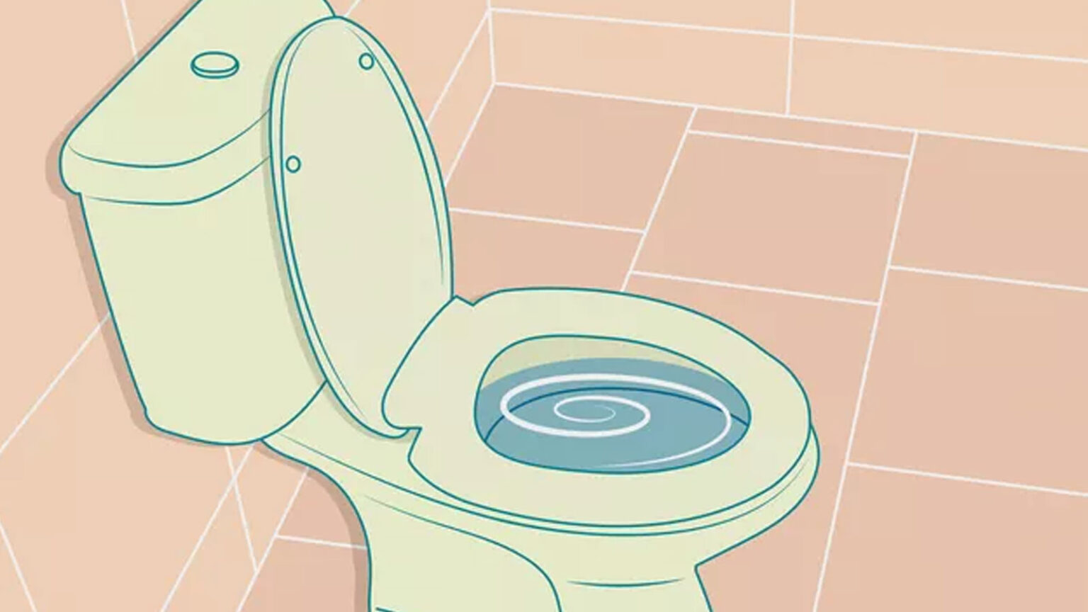 Το "Λοφίο Της Τουαλέτας":Πόσο Κακό Είναι Τελικά Να Μην Κατεβάζετε Το Καπάκι Της Τουαλέτας
