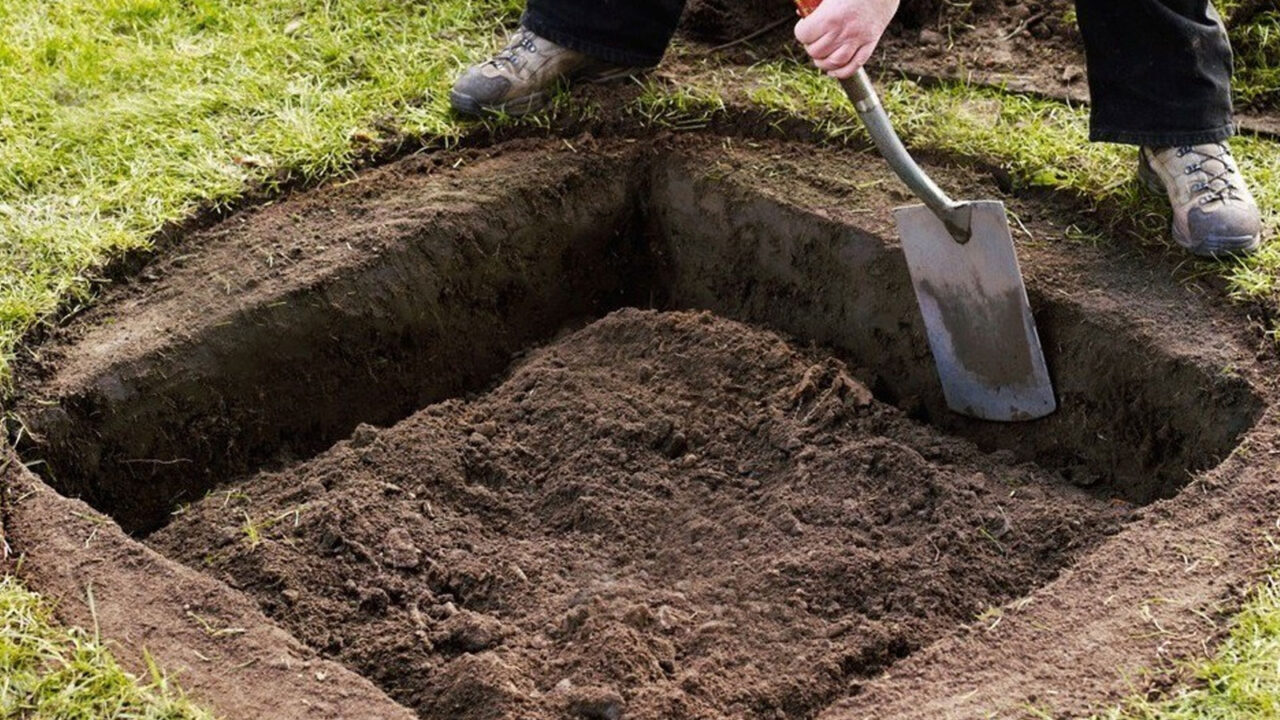 φύτευση δέντρων,φύτευση σε τετράγωνες τρύπες,για τον κήπο,συμβουλές κηπουρικής,χρήσιμα,