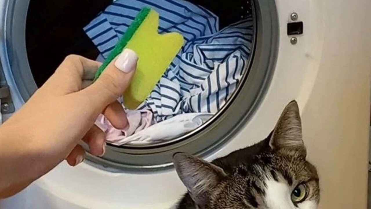 κόλπα για το πλυντήριο ρούχων,συμβουλές για πλυντήριο ρούχων,χρήσιμα,