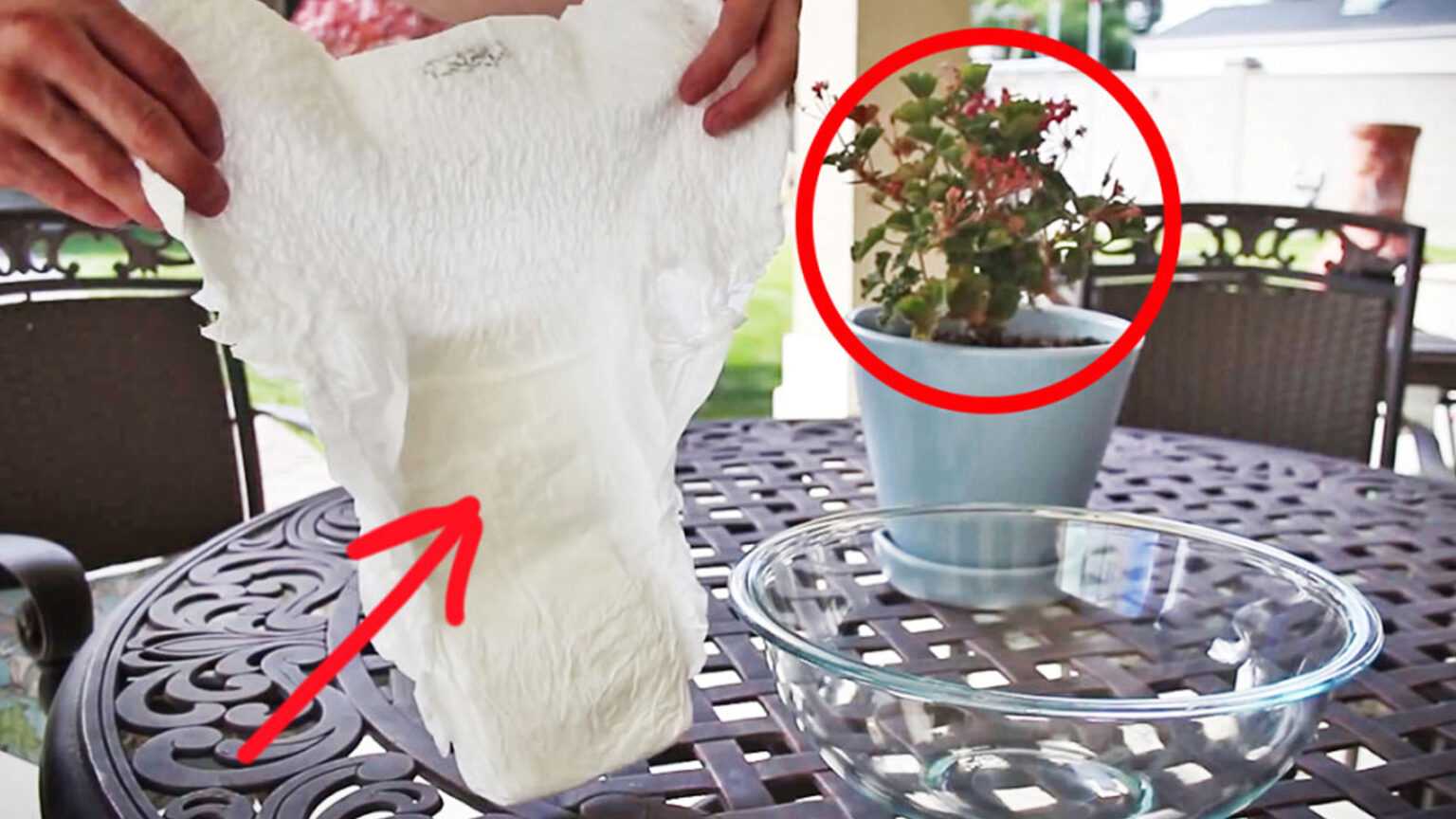 Πας διακοπές; Βάλε Μια Πάνα Στην Γλάστρα Σου: Πώς οι Παιδικές Πάνες Μπορούν Να Βοηθήσουν Τα Φυτά Σας Να Μεγαλώσουν Και Να Μην Ξεραθούν [Βίντεο]