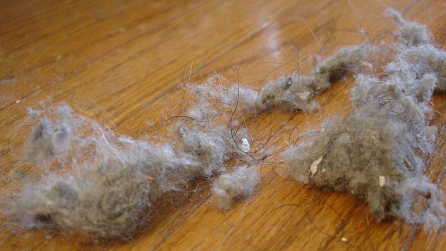 Αυτά Μαγνητίζουν τη Σκόνη: 24 Σημεία στο Σπίτι που Πιθανώς Καθαρίζετε Σπάνια