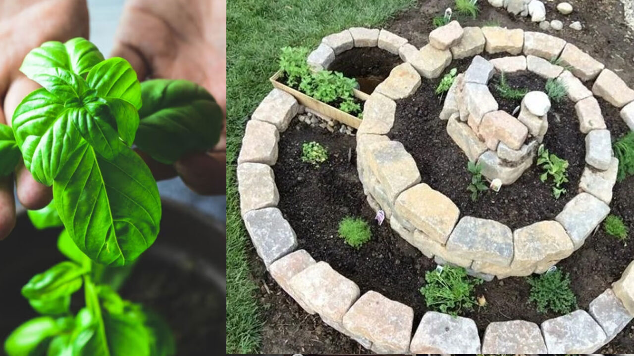 DIY σπειροειδής κήπος με βότανα,DIY κατασκευές κήπου,διακόσμηση κήπου,για τον κήπο,