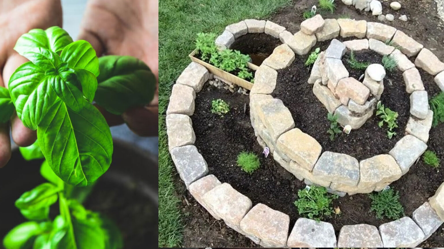 DIY σπειροειδής κήπος με βότανα,DIY κατασκευές κήπου,διακόσμηση κήπου,για τον κήπο,