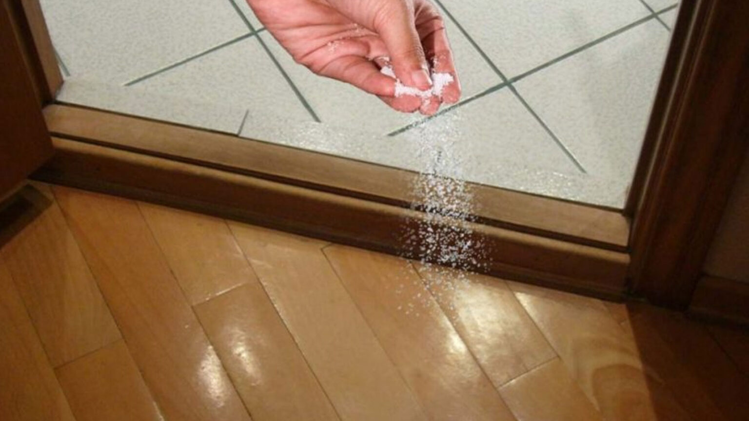 αλάτι στην εξώπορτα,αντιμετώπιση μυρμηγκιών,κόλπα,χρήσιμα,