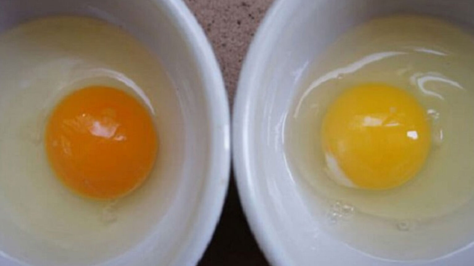 ποιοτικά αυγά,συμβουλές διατροφής,διατροφή,χρήσιμα,