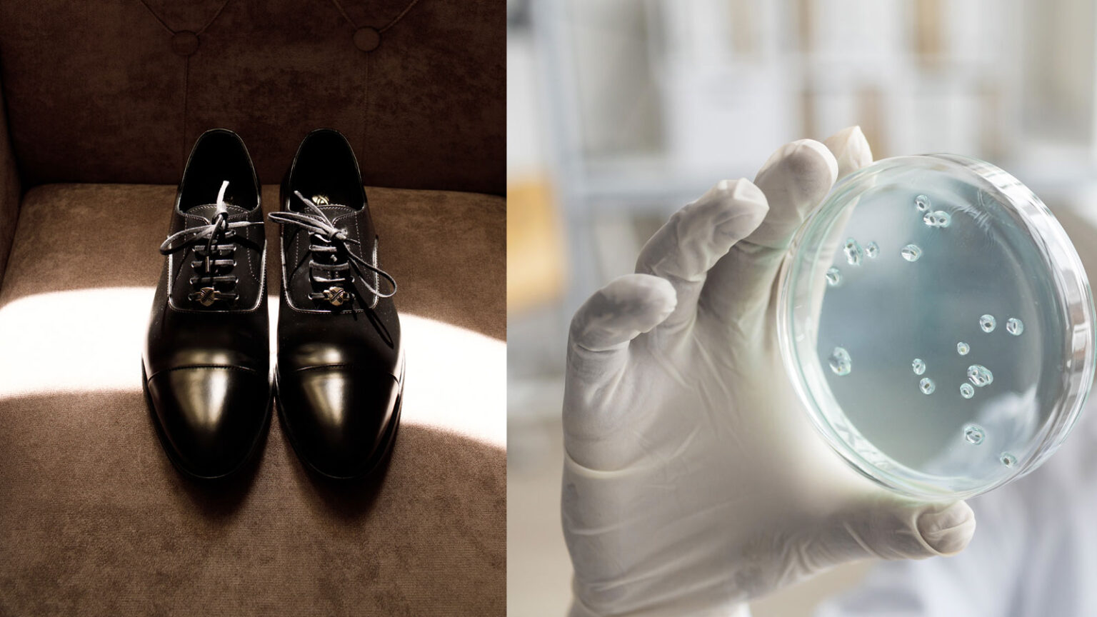 παπούτσια στο σπίτι,Clostridium Difficile,Escherichia coli,βακτήρια στο σπίτι,συμβουλές υγείας,υγεία,χρήσιμα,