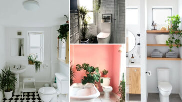 ιδέες διακόσμησης με φυτά στο μπάνιο,διακόσμηση μπάνιου,φυτά στο μπάνιο,ιδέες διακόσμησης μπάνιου,διακόσμηση,