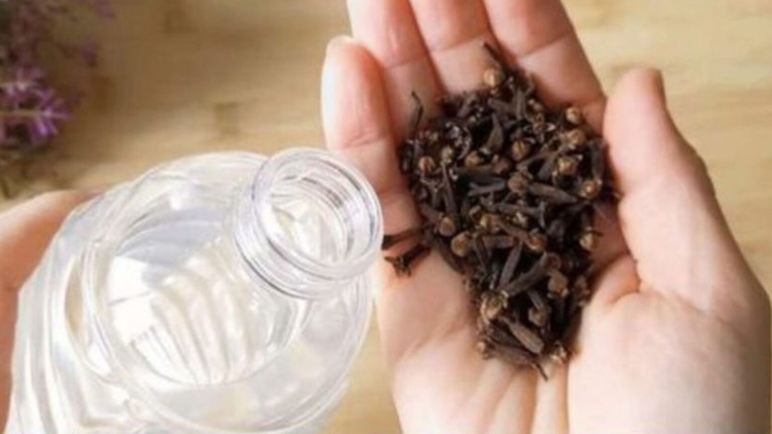 ξύδι και γαρίφαλα,φυσικό εντομοαπωθητικό,χρήσιμα,