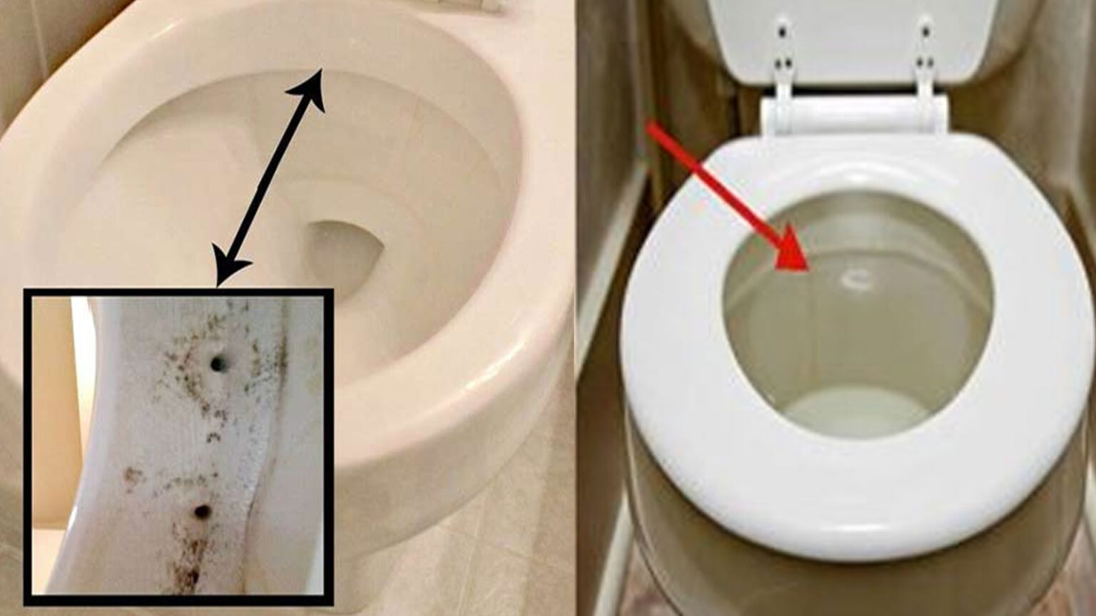 καθαρισμός σιφονιών λεκάνης τουαλέτας,καθαρισμός τουαλέτας,συμβουλές καθαρισμού,χρήσιμα,