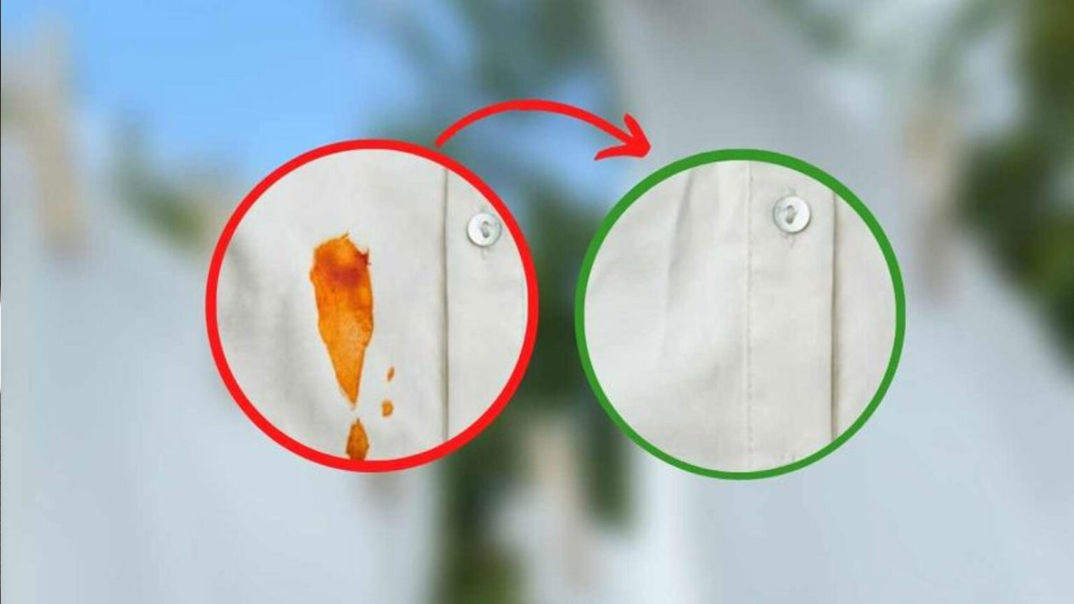 λεκέδες σάλτσας στα ρούχα,καθαρισμός λεκέδων σάλτσας,ρούχα,συμβουλές καθαρισμού,χρήσιμα,