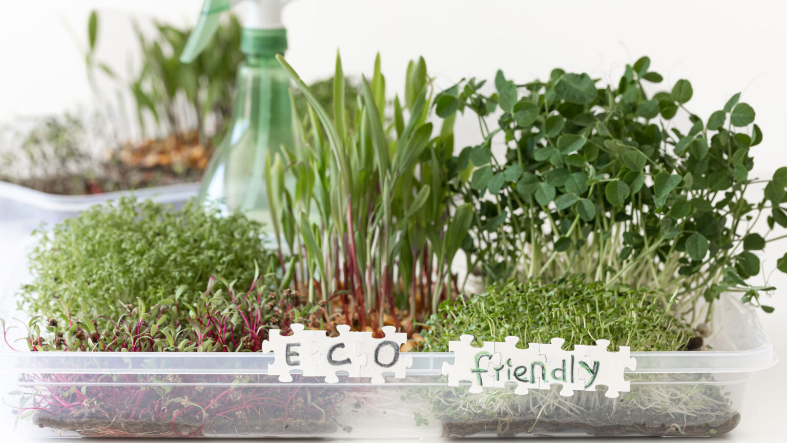 Μυρωδικά που Μπορείτε να Καλλιεργήσετε στο Νερό και να τα Απολαύσετε στο Σπίτι