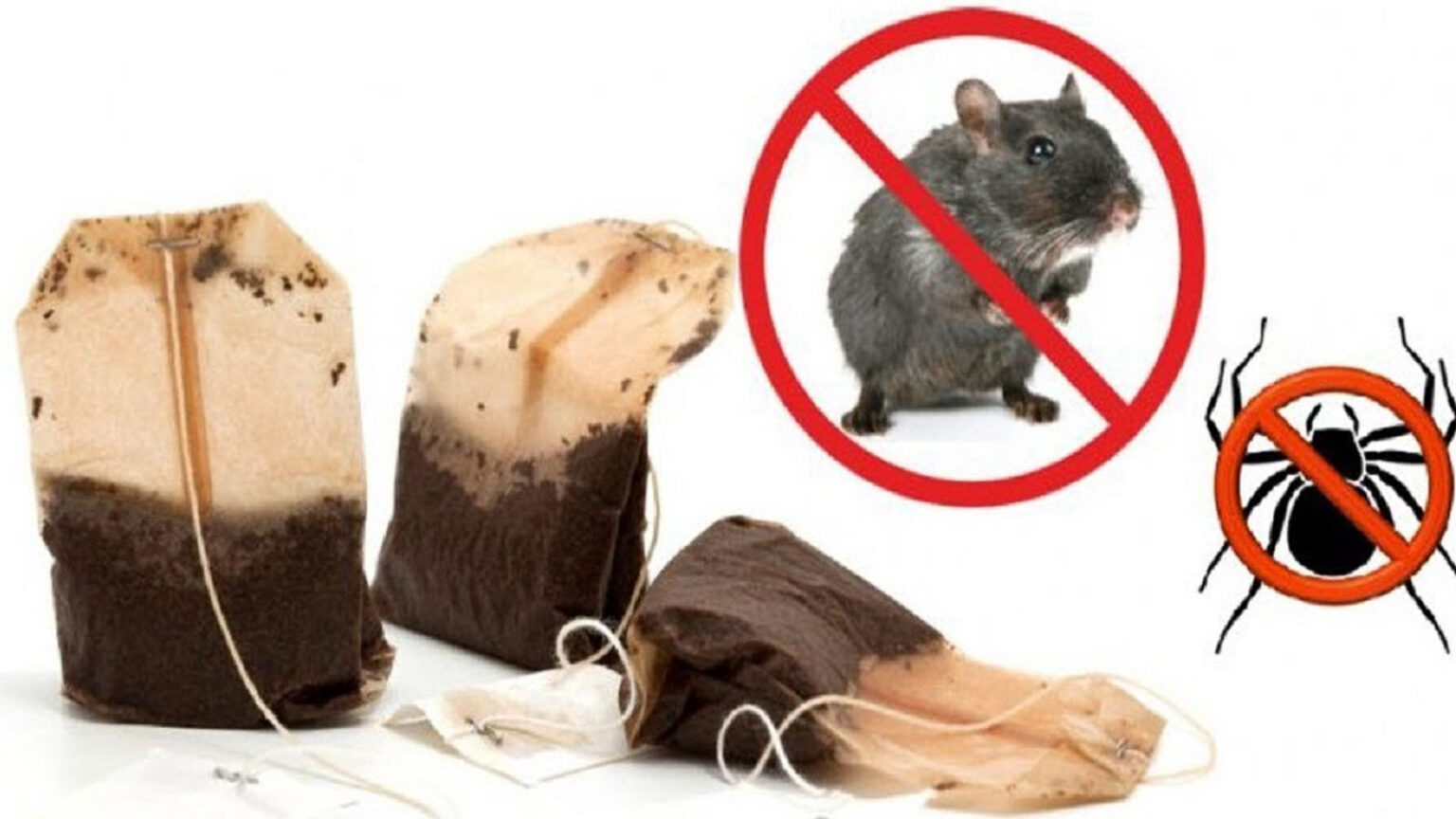 Το Μόνο που Χρειάζεστε Είναι ένα Φακελάκι Τσαγιού και ΔΕΝ θα Ξαναδείτε Ποντίκια ή Αράχνες στο Σπίτι σας!