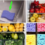 Γιατί Πρέπει να Βάλετε ένα Σφουγγάρι Πιάτων στο Ψυγείο