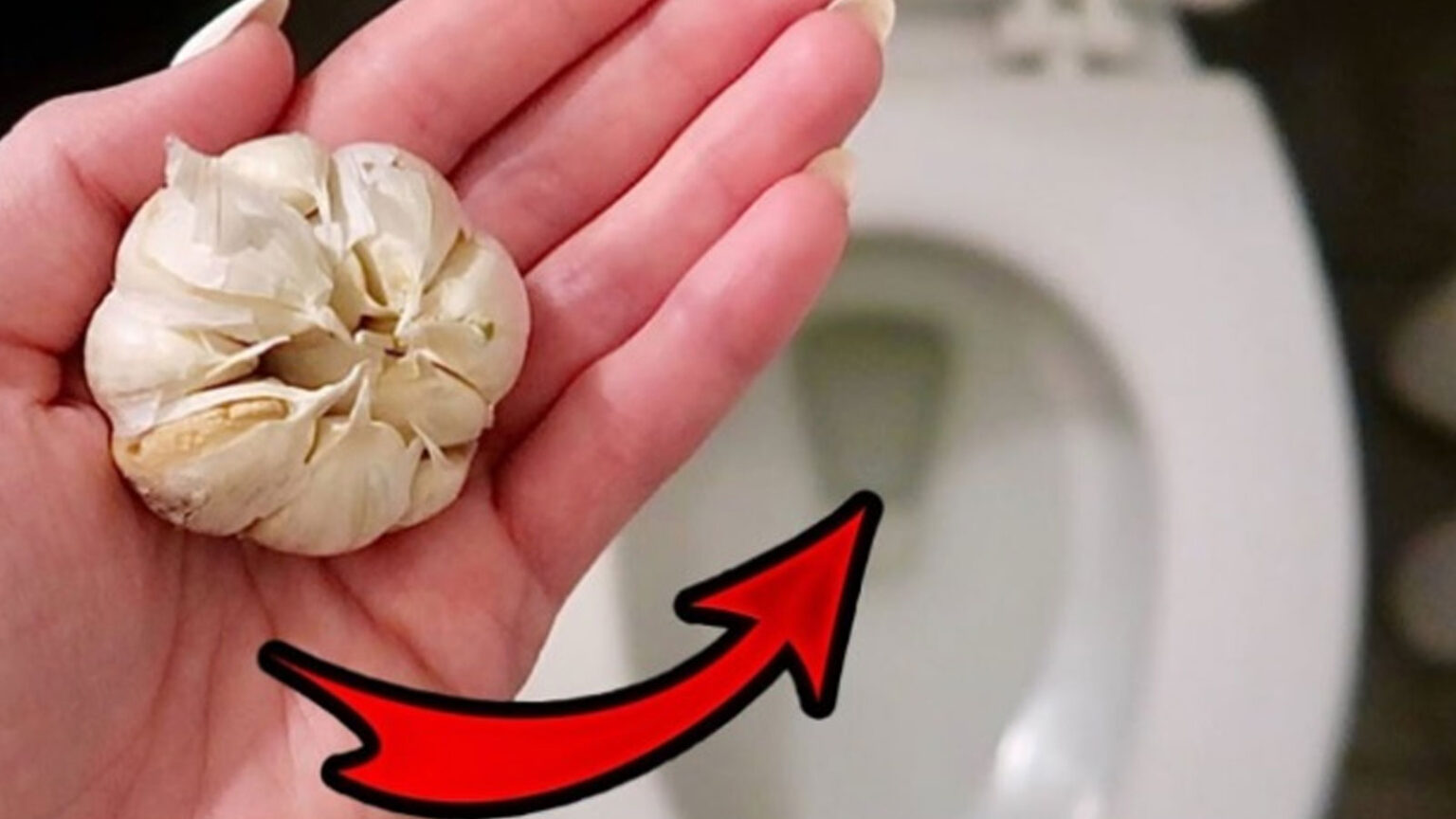 σκελίδα σκόρδο στην τουαλέτα,καθαρισμός τουαλέτας με σκόρδο,συμβουλές καθαρισμού,χρήσιμα,