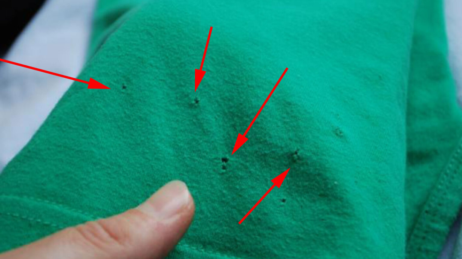 Ο Λόγος που τα Μπλουζάκια σας Εχουν Πάντα Αυτές τις Μικροσκοπικές Τρύπες στο Κάτω Μέρος