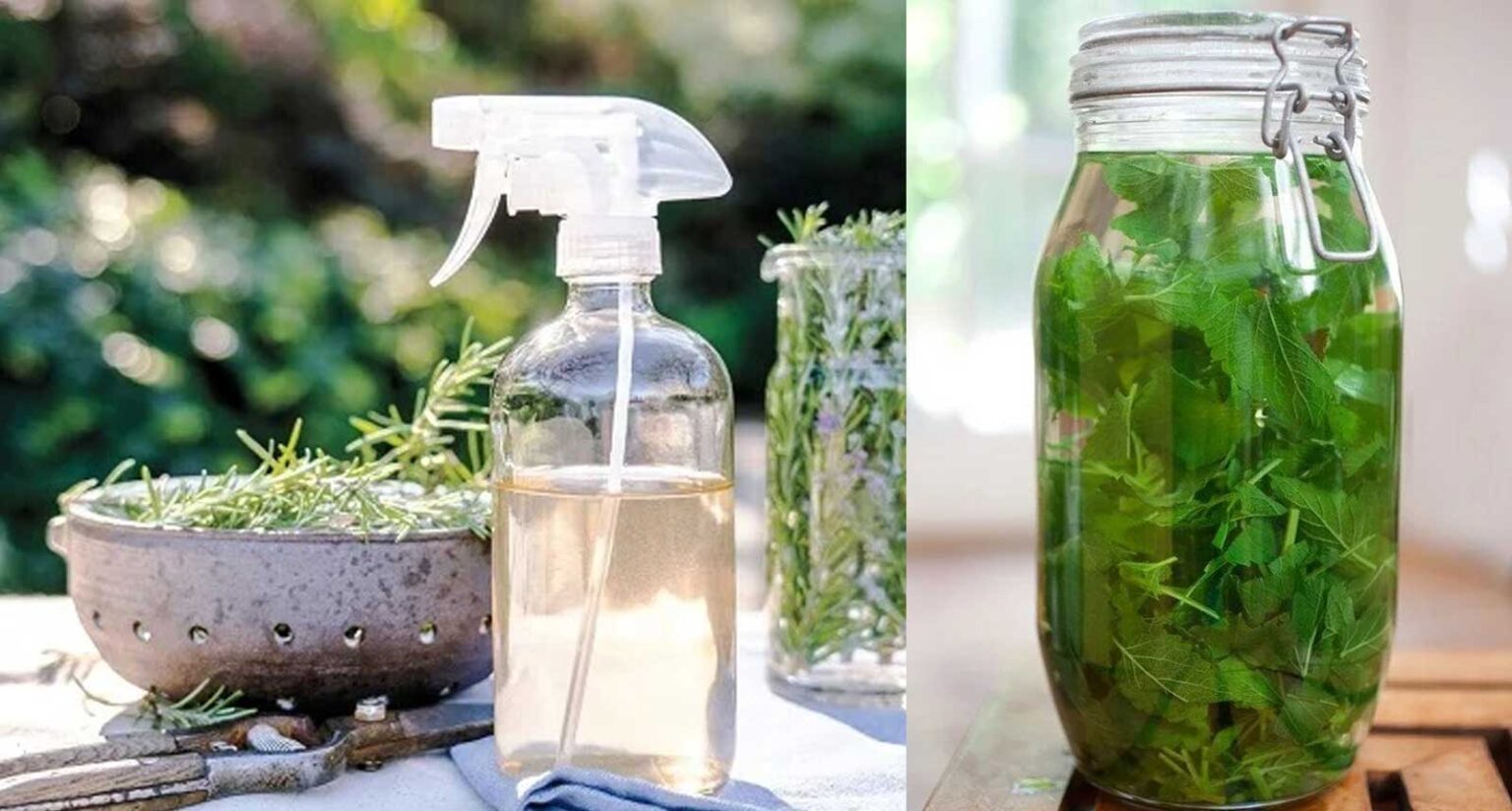 12 DIY Καθαριστικά Βοτάνων που Είναι Ασφαλή και Φυσικά