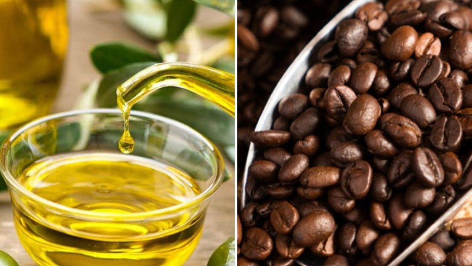 Έριξε ένα κουταλάκι ελαιόλαδο σε μια κούπα καφέ - Μόλις δείτε το λόγο θα το κάνετε και εσείς