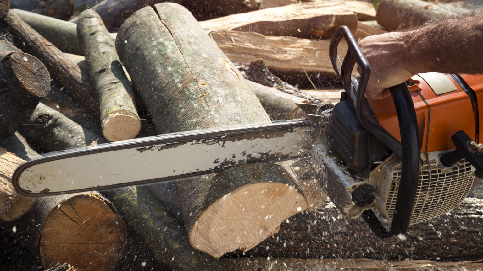 Καυσόξυλα: Που κυμαίνονται οι τιμές για τον φετινό χειμώνα; Πιο φθηνά φέτος από πέρυσι
