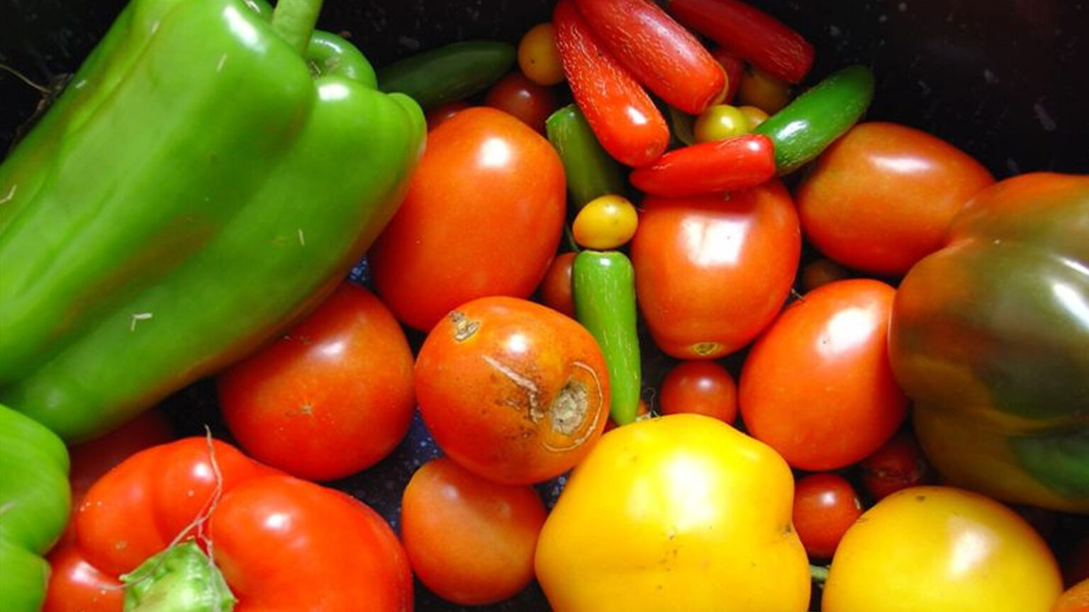 Ποια Είναι τα 5 Λαχανικά που Πρέπει Πάντα να Μαγειρέψετε πριν τα Φάτε