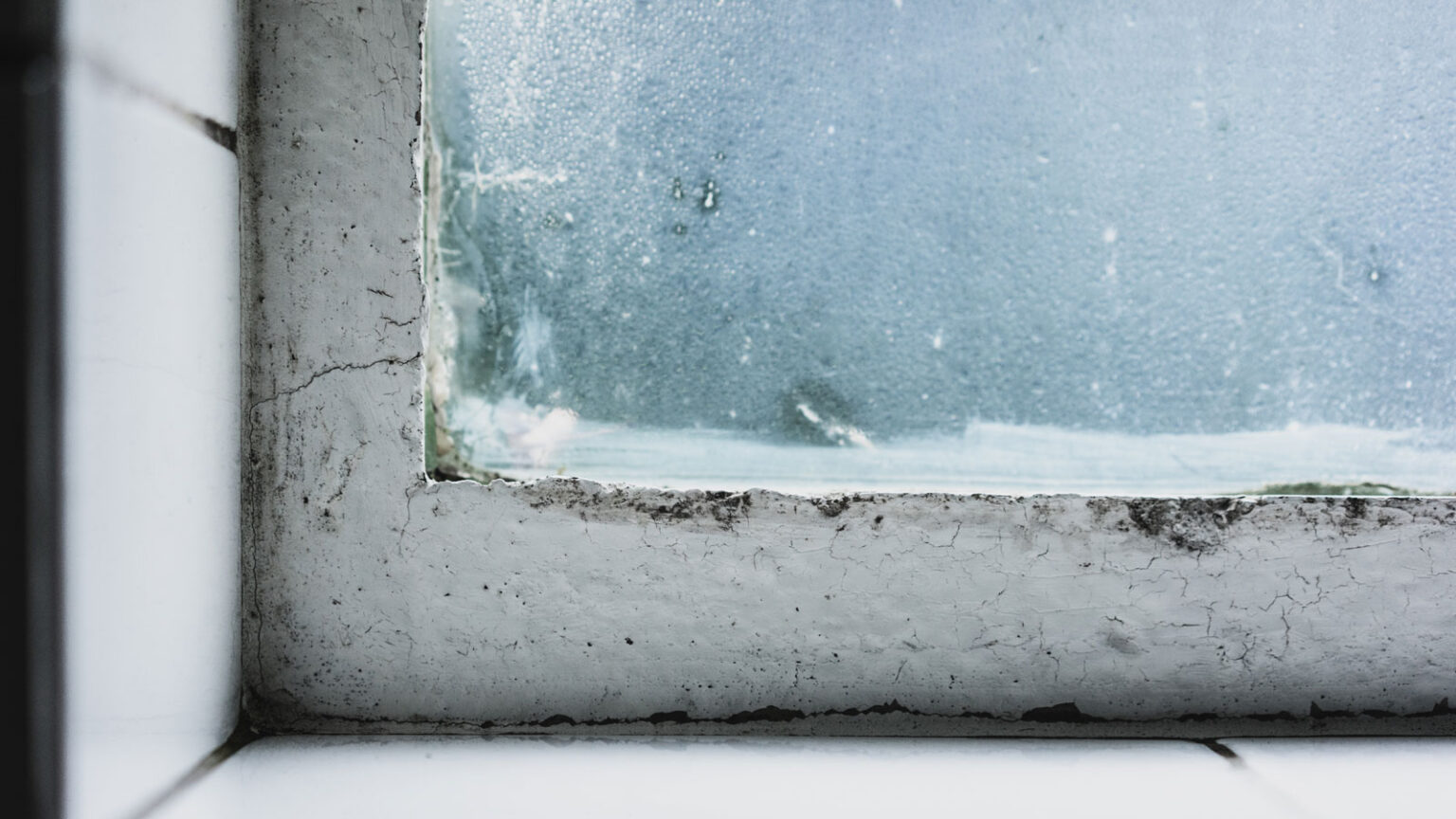 Διώξε το "Άσθμα" Και Την Υγρασία Από Το Σπίτι