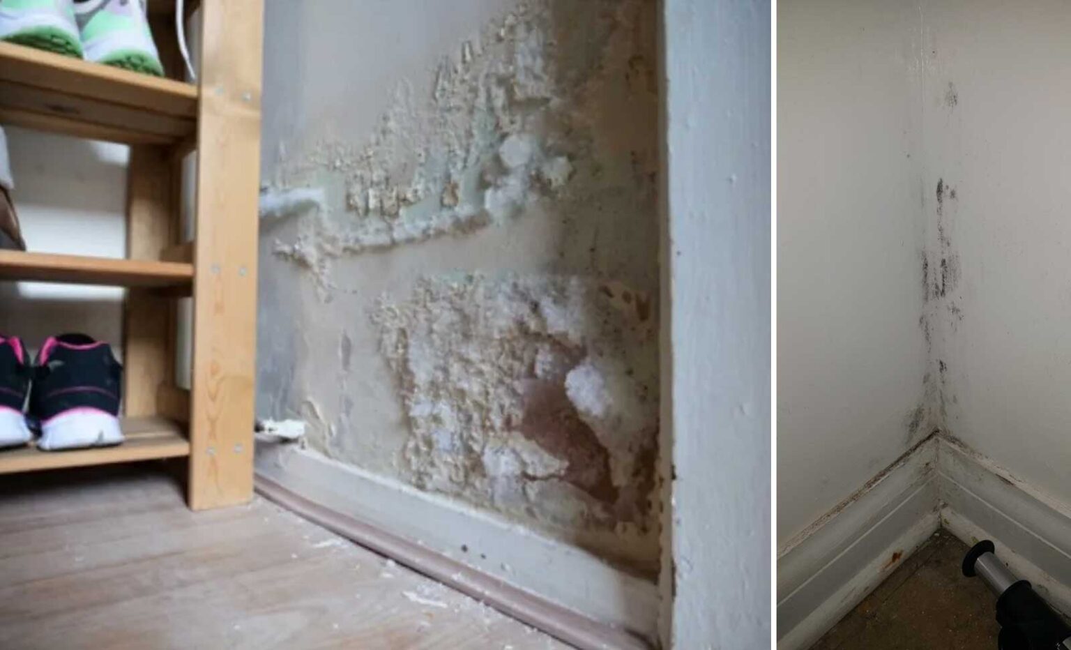 Υγρασία Μούχλα στην Ντουλάπα: Χρήσιμα Tips για να την Αποφύγετε τις μαύρες γεμάτες άσχημες μυρωδιές ντουλάπες