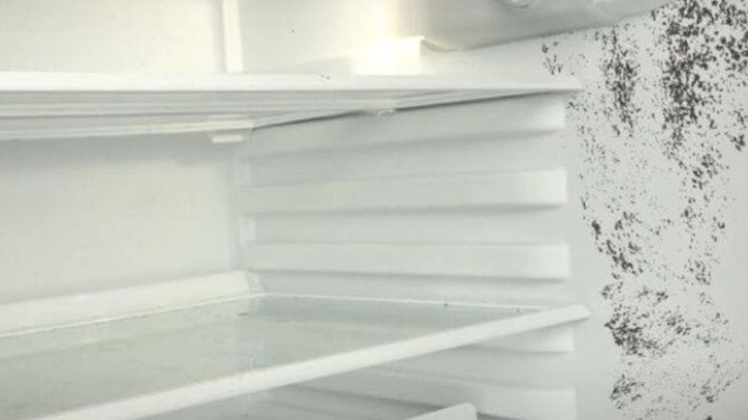 Έχετε Μούχλα στο Ψυγείο; Με Αυτό το Γρήγορο Κόλπο θα Φύγει σε Ελάχιστο Χρόνο