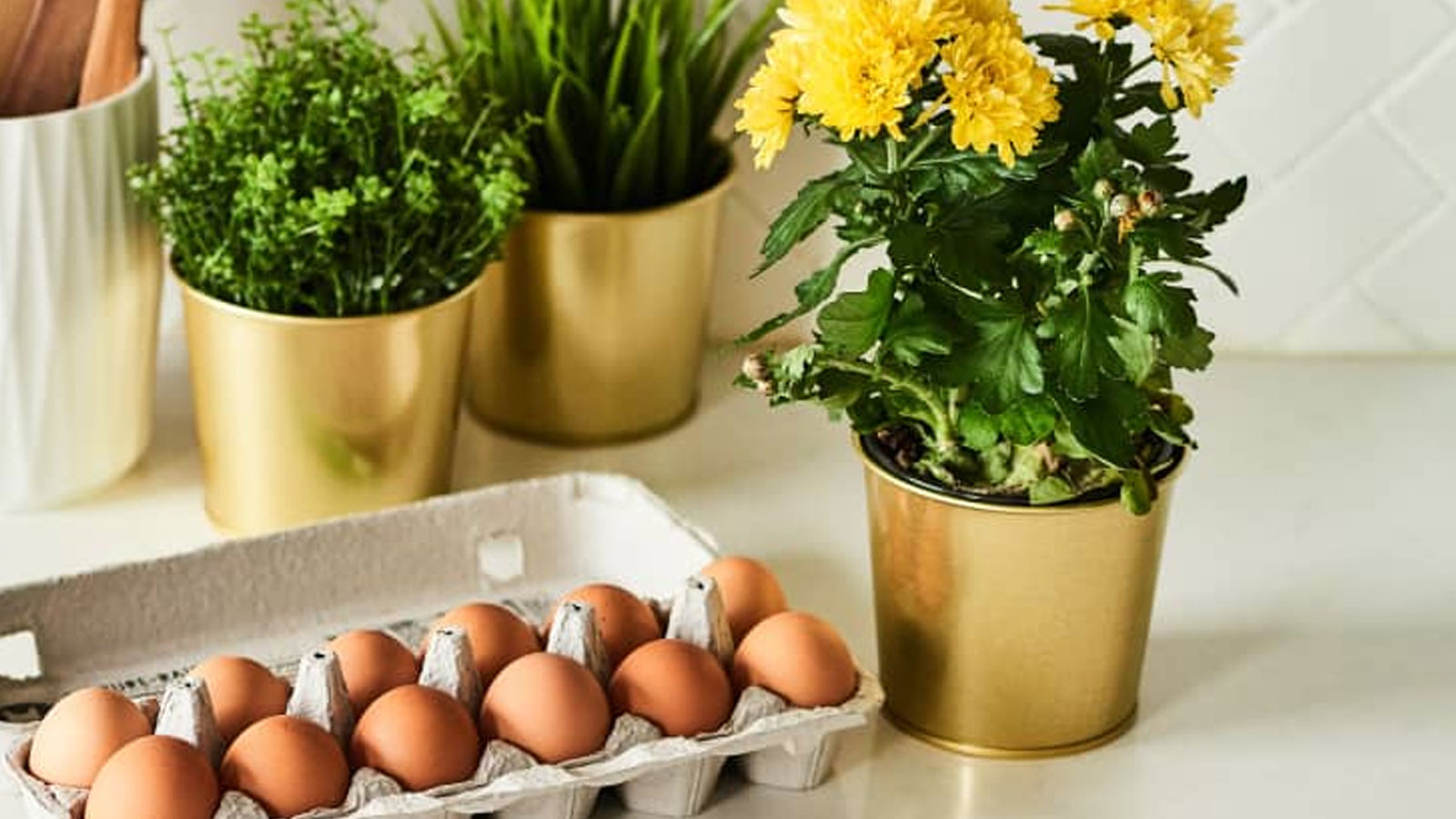 Μην Πετάς το νερό από το Βράσιμο Αυγών: Γιατί Πρέπει να Το Ρίχνετε στα Φυτά σας