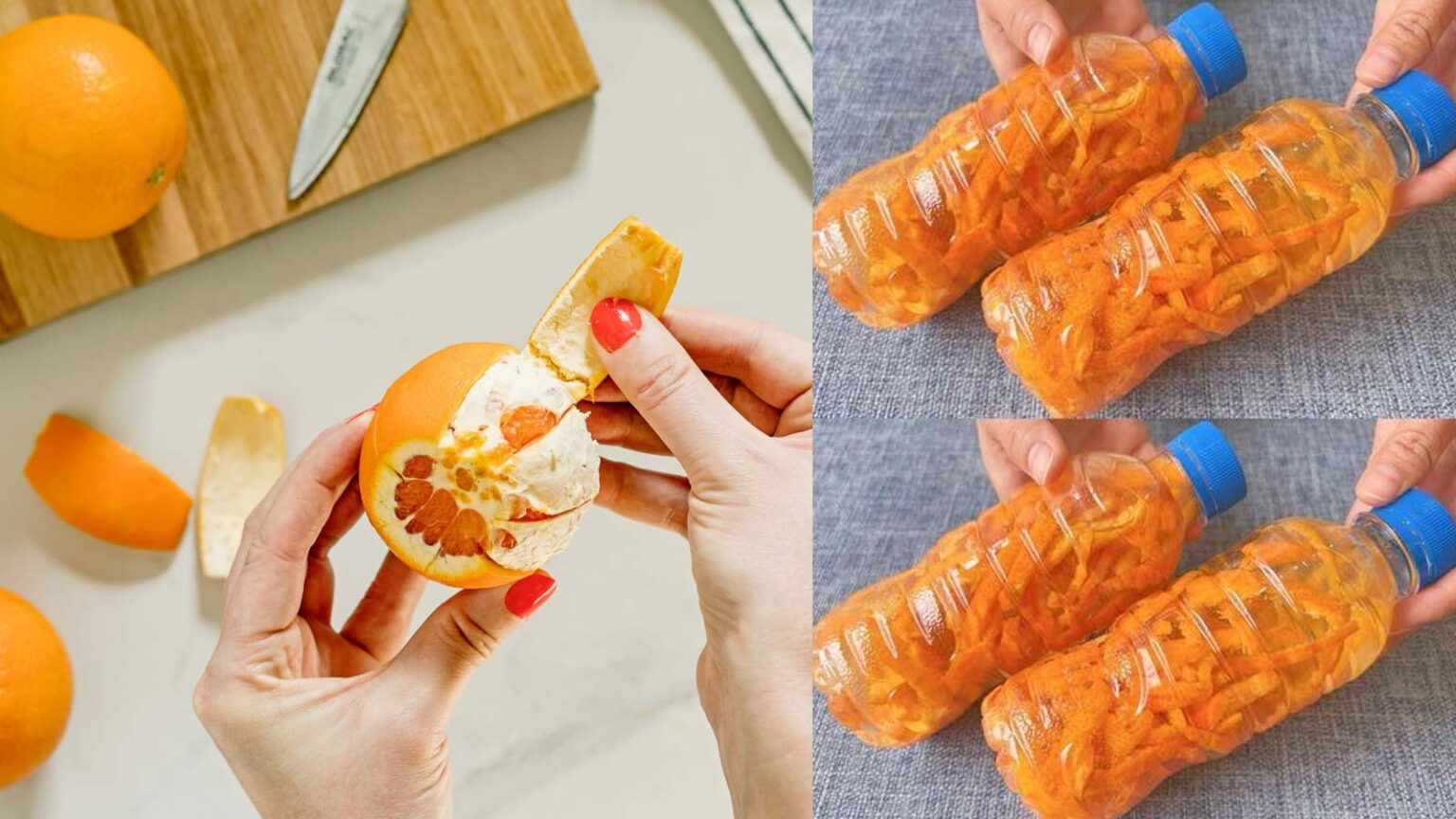 Μην Πετάς τις Φλούδες των Πορτοκαλιών: Βάλε τις μέσα σε ξύδι και Θα Φτιάξεις απολυμαντικό καθαριστικό για να λαμποκοπίσει το σπίτι