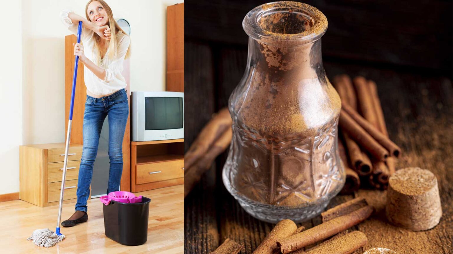 Βάζω κανέλα μέσα στο νερό της σφουγγαρίστρας: Απωθεί τα παράσιτα και αρωματίζει τον χώρο