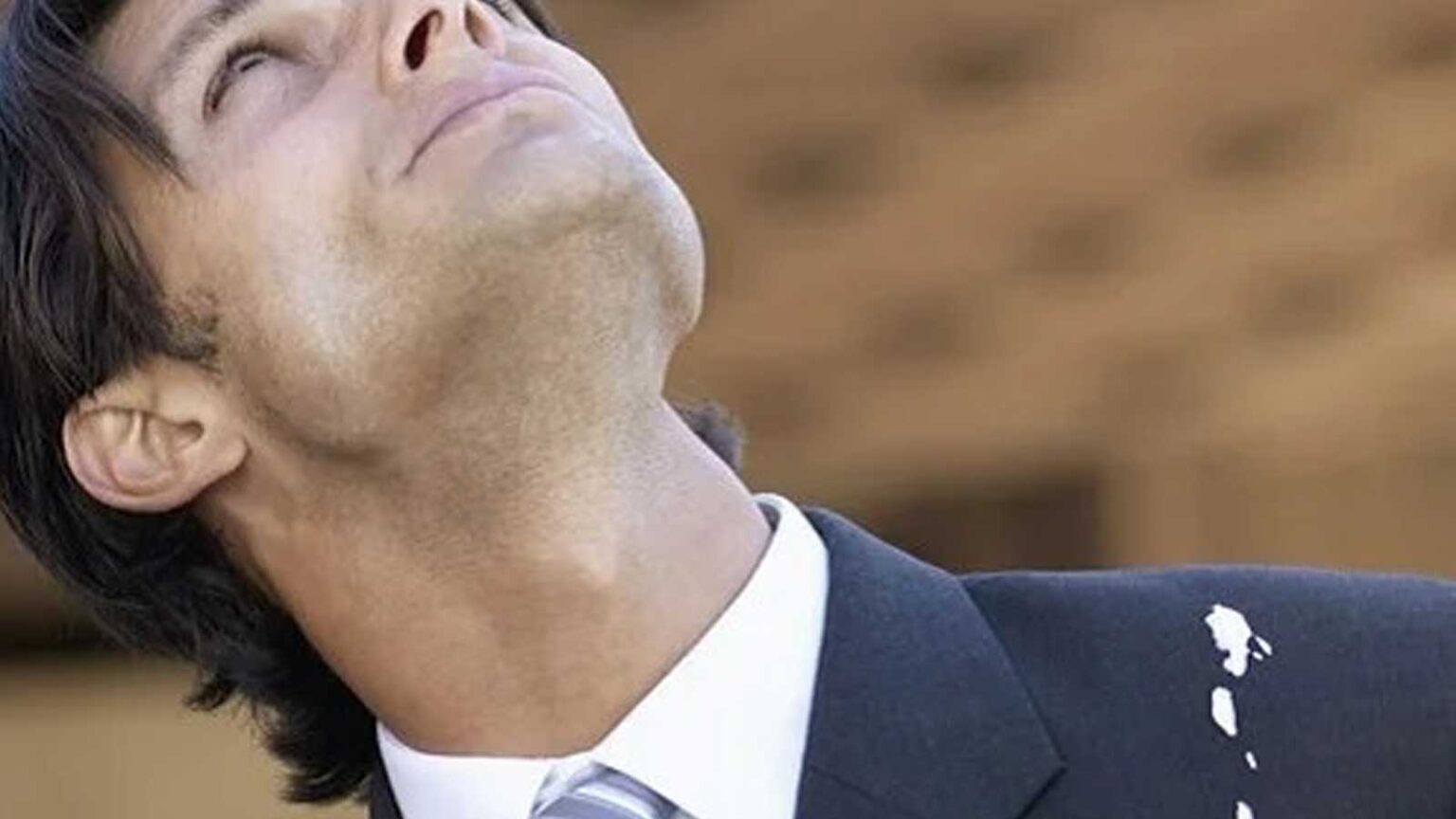 Τι Σημαίνει Οταν Ενα Πουλί Κουτσουλήσει Πάνω σας - Τύχη πλούτος και Θετικές αλλαγές