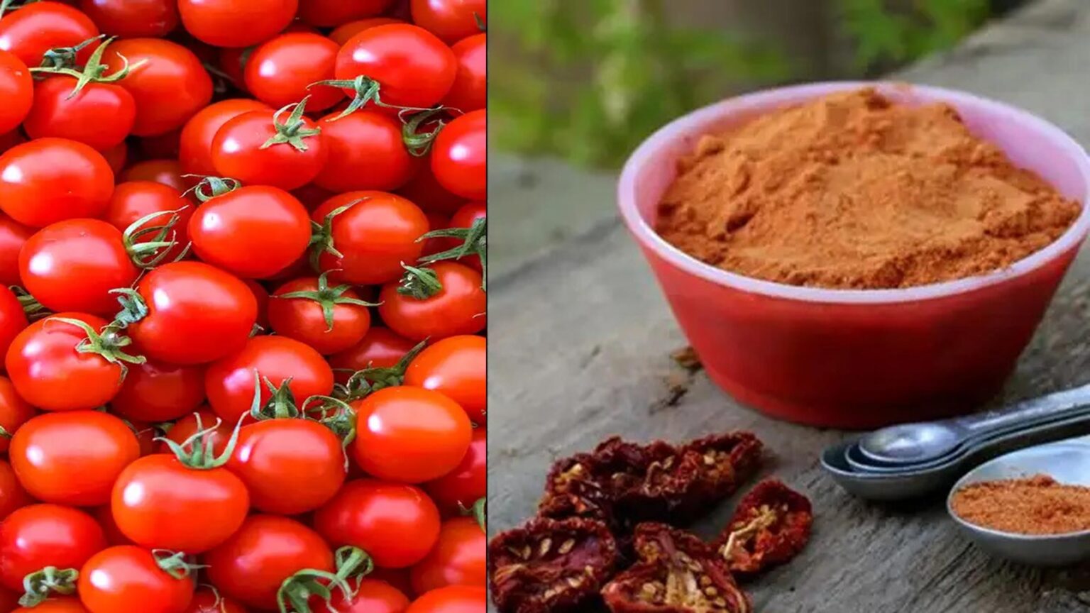 Food Waste: Μην Αφήνετε τις Ντομάτες σας να Πάνε Χαμένες και τις πετάτε - Μετατρέψτε τις σε Γευστική Σκόνη