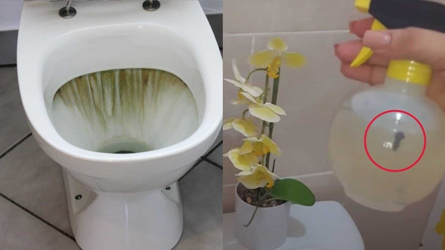 Ψεκάζοντας Αυτό το Μείγμα στο Μπάνιο θα Εξαφανίσετε για Πάντα τη Δυσοσμία των Ούρων