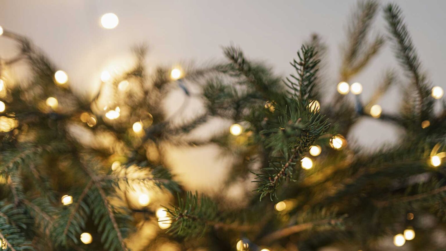 Πόσο Κοστίζει να Αφήσετε τα Λαμπάκια του Χριστουγεννιάτικου Δέντρου Αναμμένα 30 Ημέρες