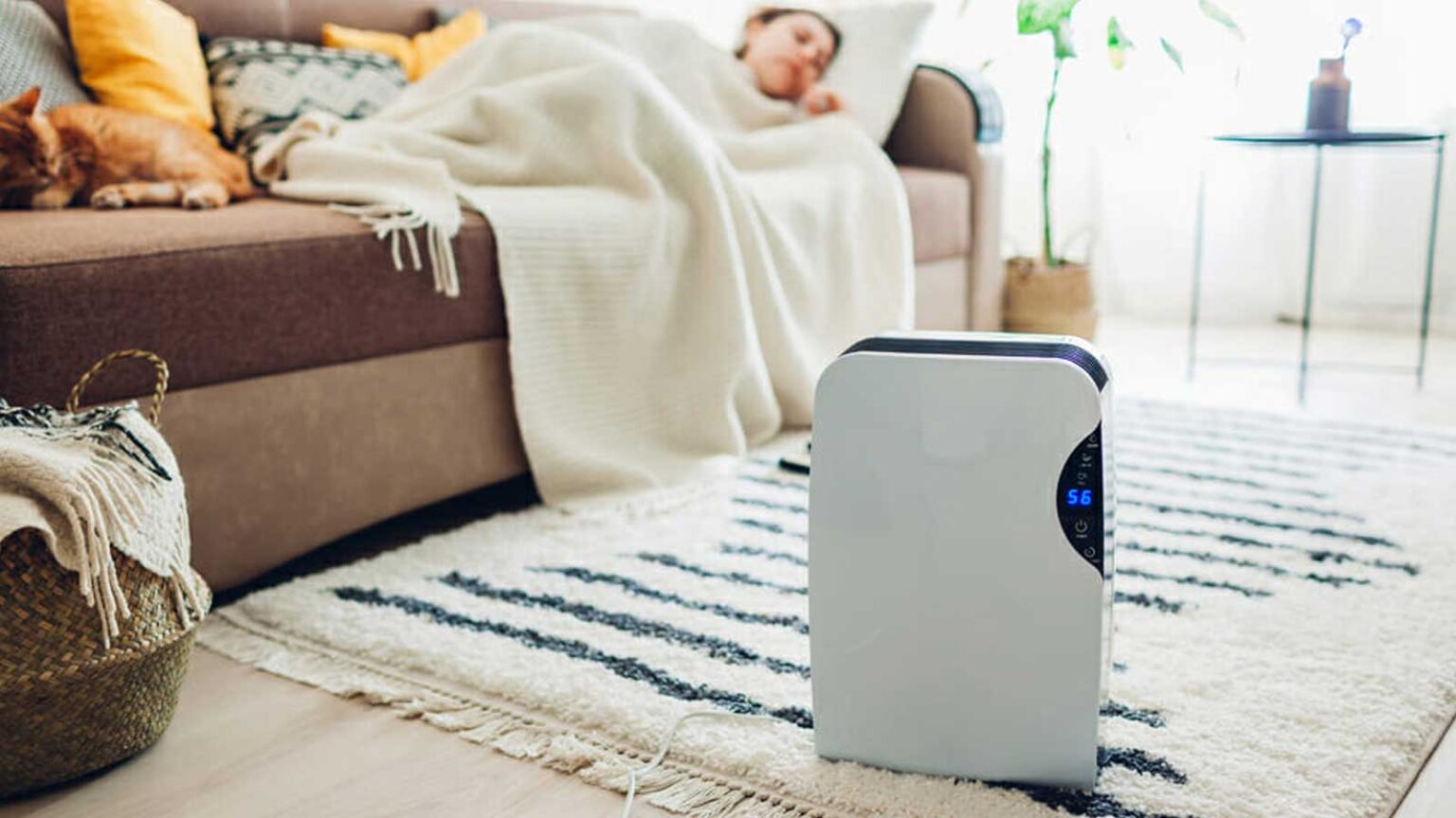 Ύπνος με Αφυγραντήρα: Σωστό ή Λάθος;