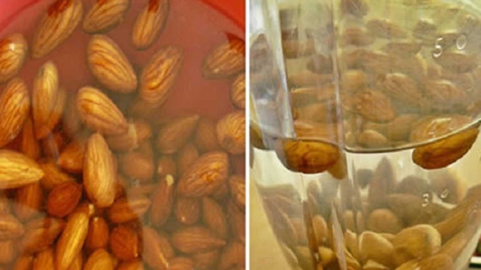 Αυτός Είναι ο Λόγος που Πρέπει να Βρέχετε τους Ξηρούς Καρπούς πριν τους Φάτε