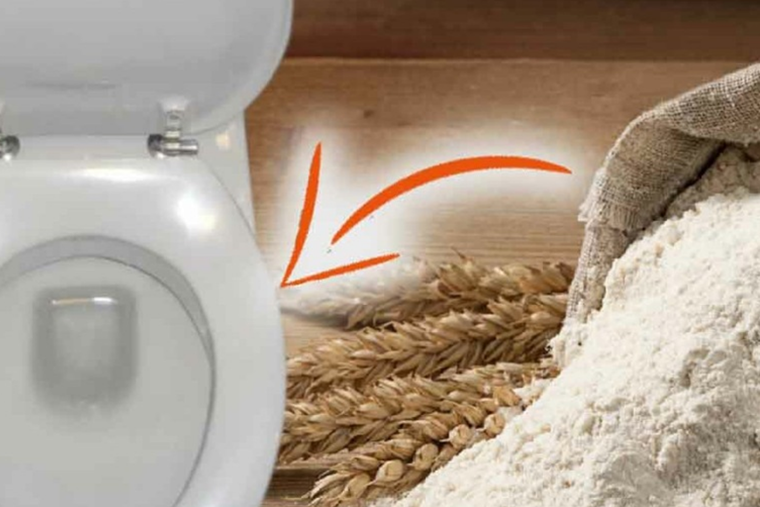 αλεύρι στην τουαλέτα,καθαρισμός τουαλέτας,συμβουλές καθαρισμού,χρήσιμα,