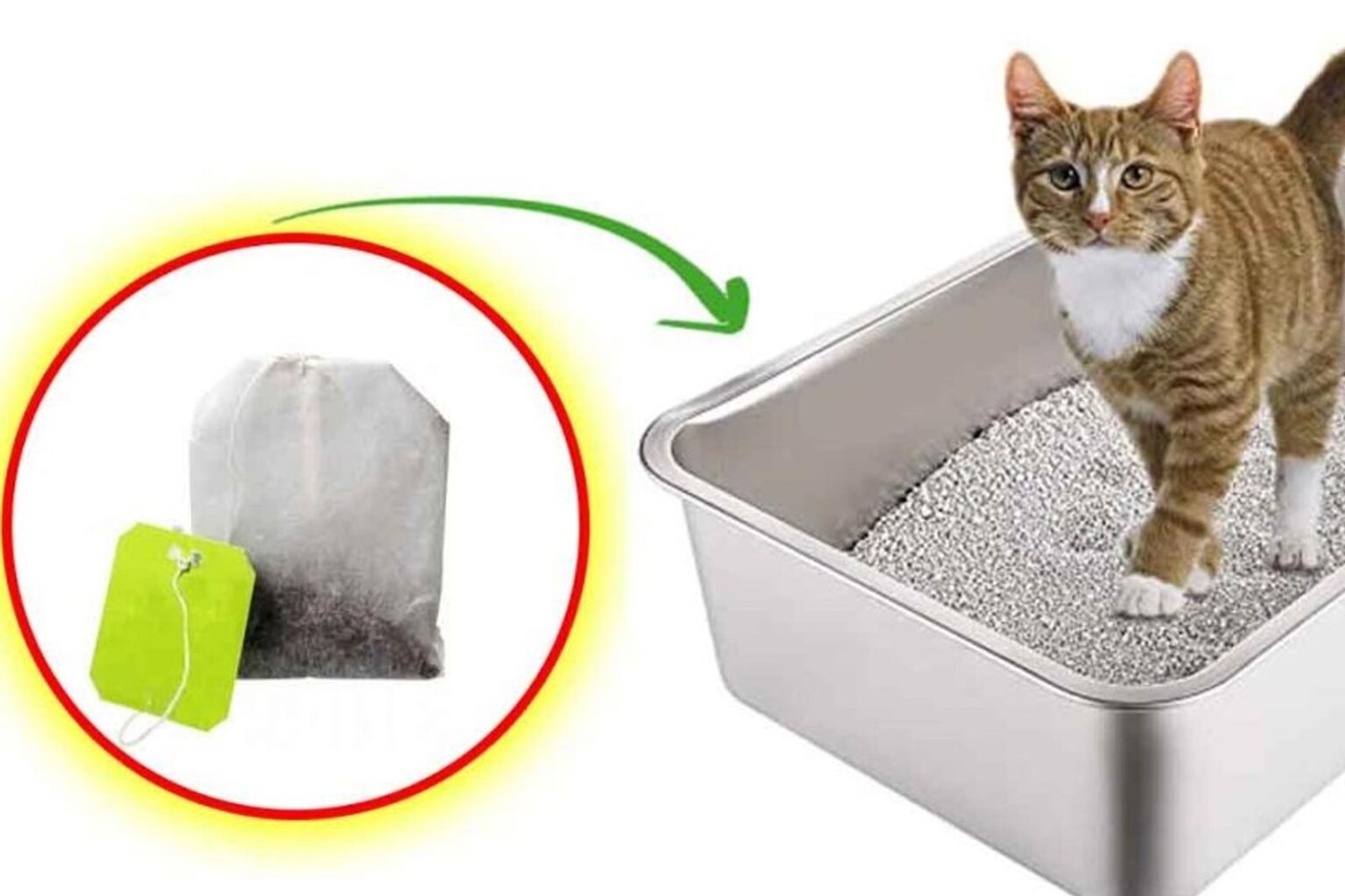 Μην Πετάτε τα Χρησιμοποιημένα Φακελάκια Τσαγιού αν Έχετε Γάτα