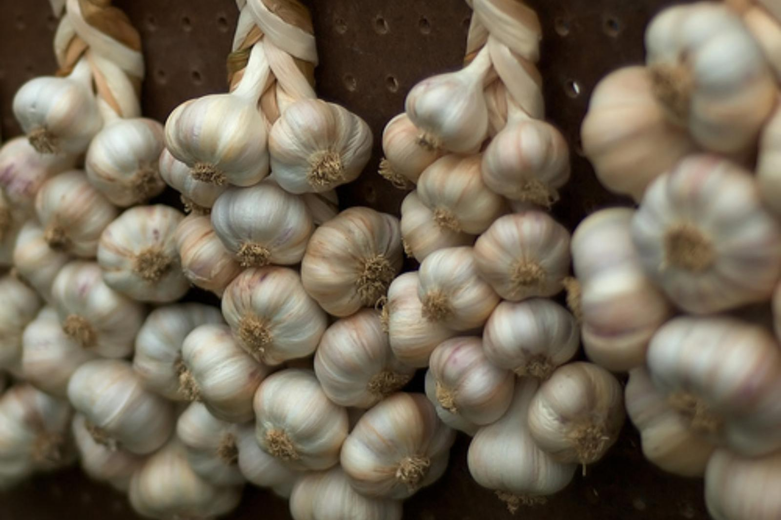 Γρουσουζιά Στο Σπίτι