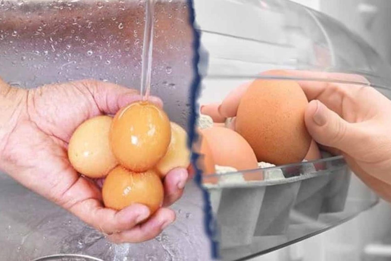 Σαλμονέλα και Αβγά: Αν Τα Πλένετε Είναι Ώρα να το Σταματήσετε
