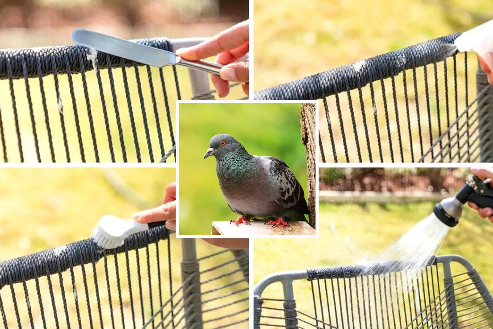 Πώς να Καθαρίσετε Λεκέδες από Κουτσουλιές και Περιττώματα Πουλιών σε Έπιπλα Κήπου