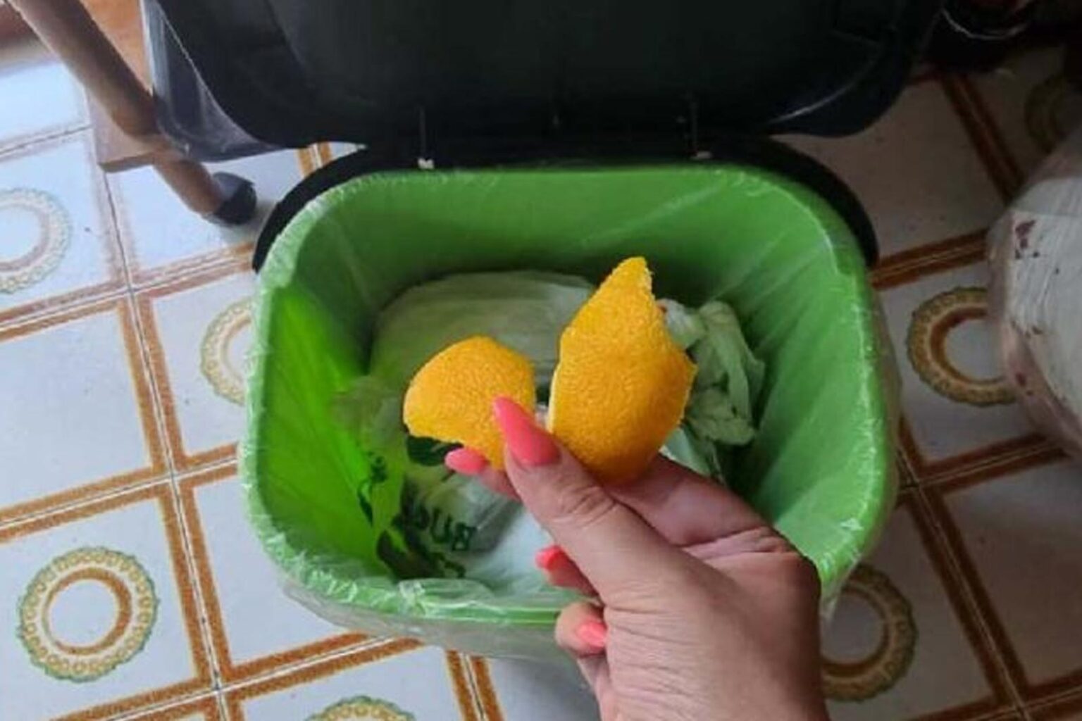 Βρωμάνε τα Σκουπίδια: Η λύση για να μην μυρίζει άσχημα ο κάδος σκουπιδιών