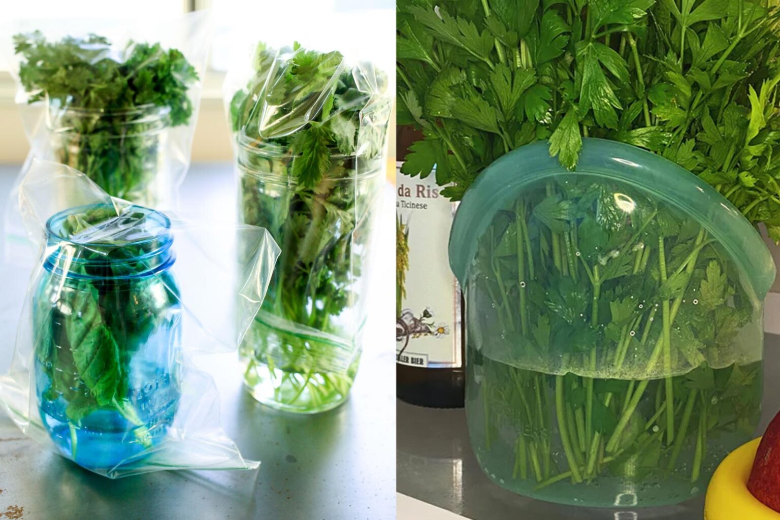 Αποθήκευσε τα μυρωδικά σου σε ένα βάζο με νερό στο ψυγείο