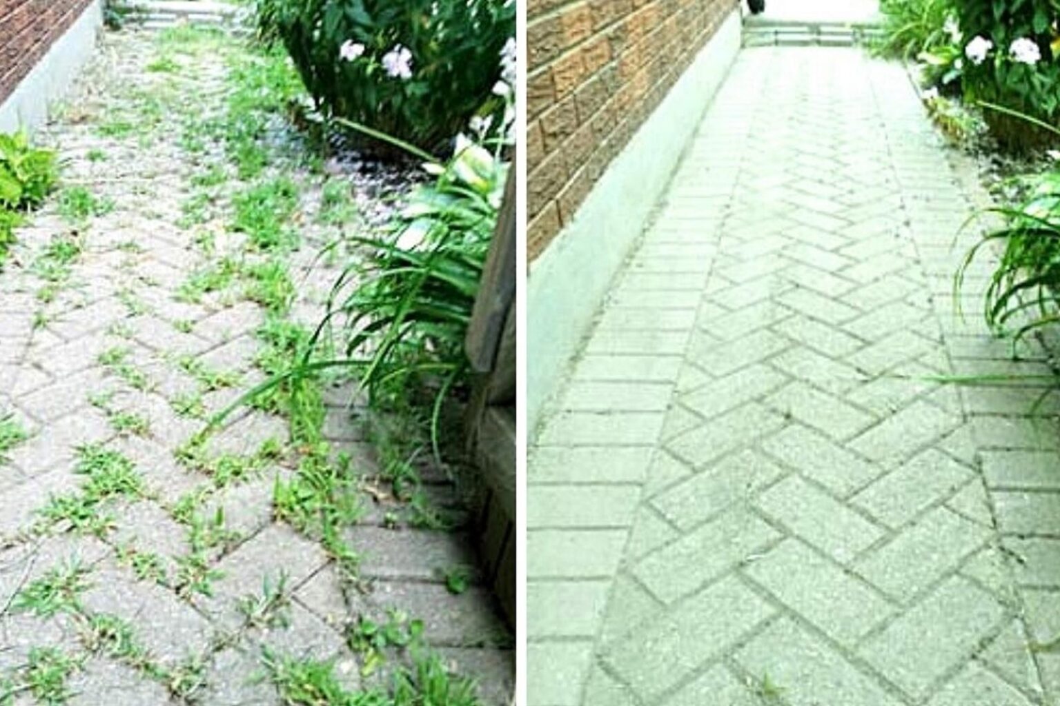 Εξαφανίζουμε τα Ζιζάνια στα Πλακόστρωτα του Κήπου χωρίς πολλά χρήματα με ξίδι