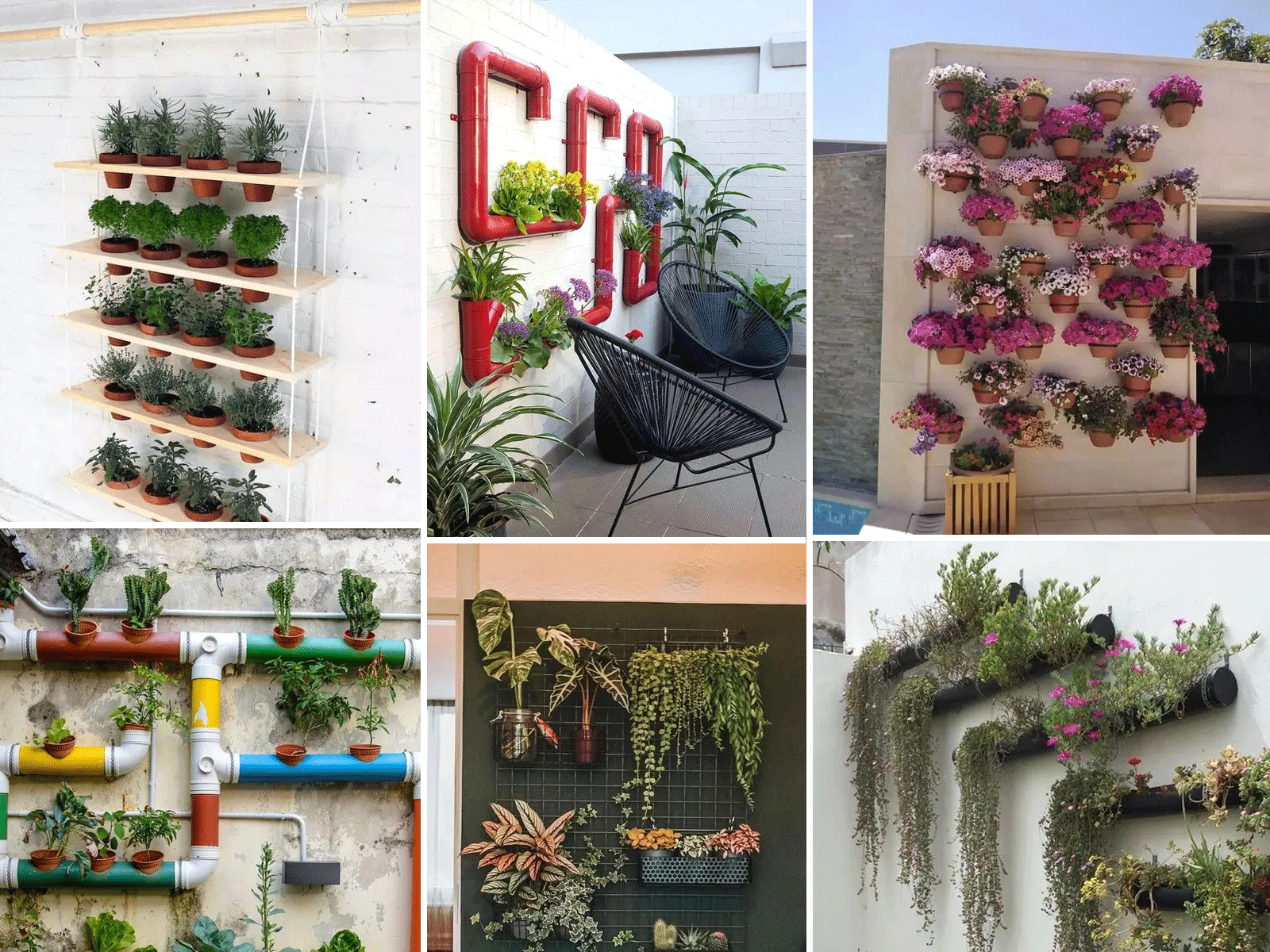 55 Έξυπνες και Πρακτικές Ιδέες για Κάθετο Κήπο